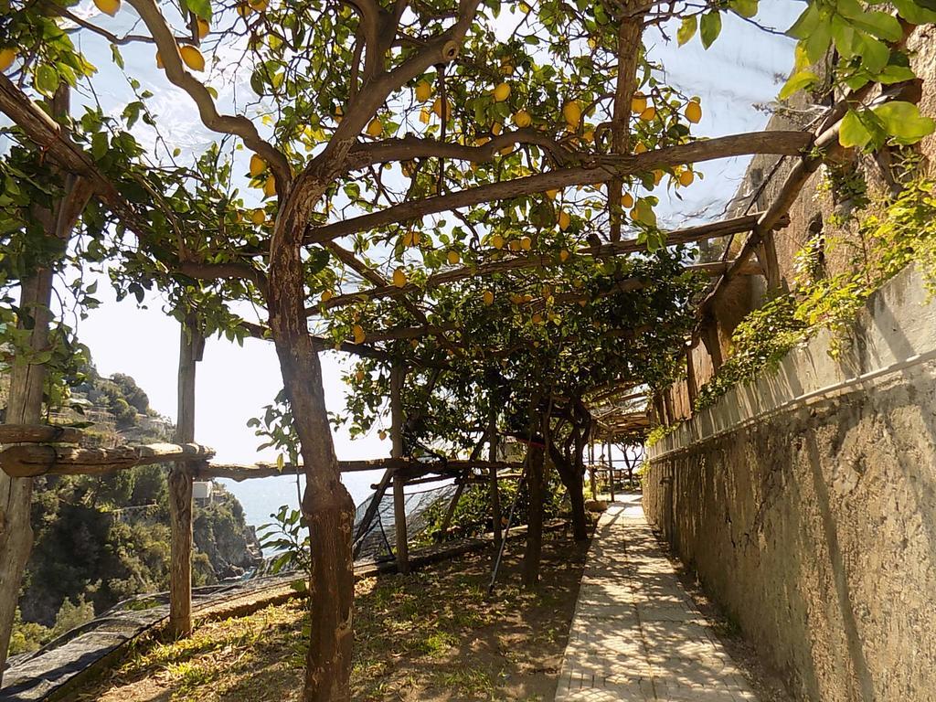 Acquachiara Relais Apartment Maiori Exterior photo