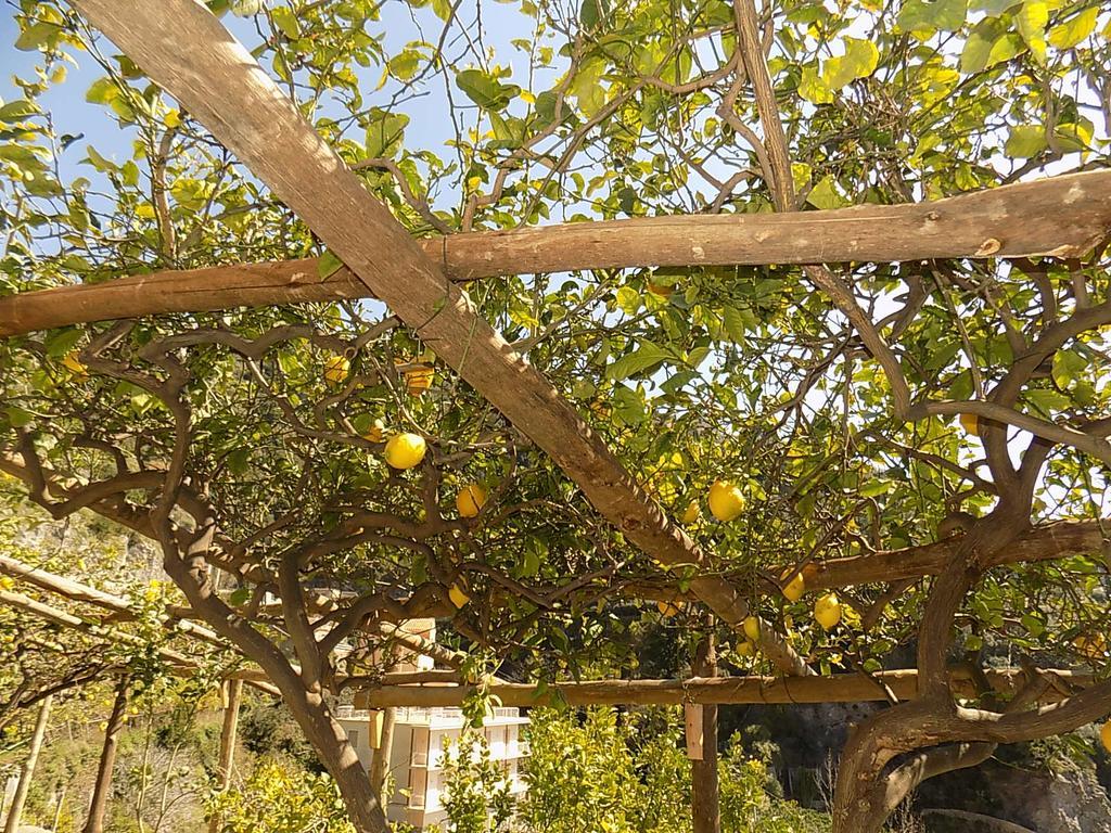Acquachiara Relais Apartment Maiori Exterior photo